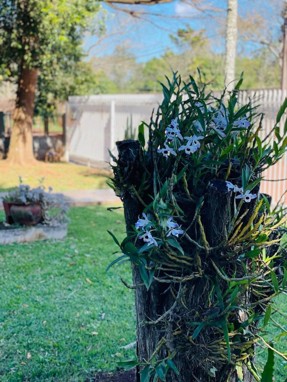 Vila Casa Nina, Com Piscina E Brinquedoteca, Super Proxima Das Cataratas E Aeroporto Foz do Iguaçu Exteriér fotografie